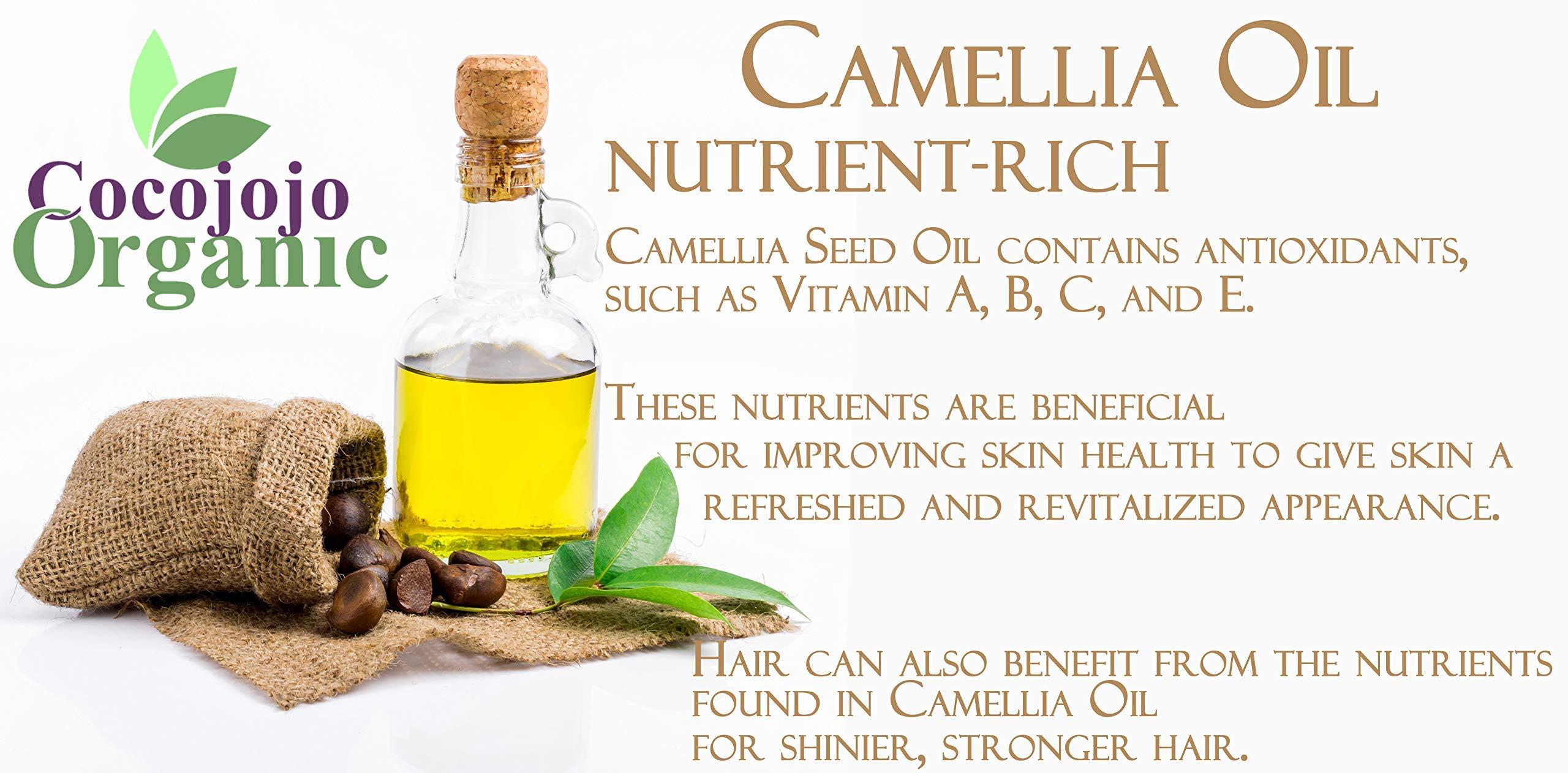 Dr Joe Lab Dr Joe Lab Japanese Camellia Seed Oil - Pure, Cold Pressed, Non-GMO Carrier - 8 oz - for Skin, Hair, Nails, Body, Facial Hair - Hydrating Moisturizing Vegan Nourishing - Packaging May Vary