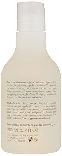 June Jacobs June Jacobs Citrus Clarifying Shampoo, 6.7 Fl Oz