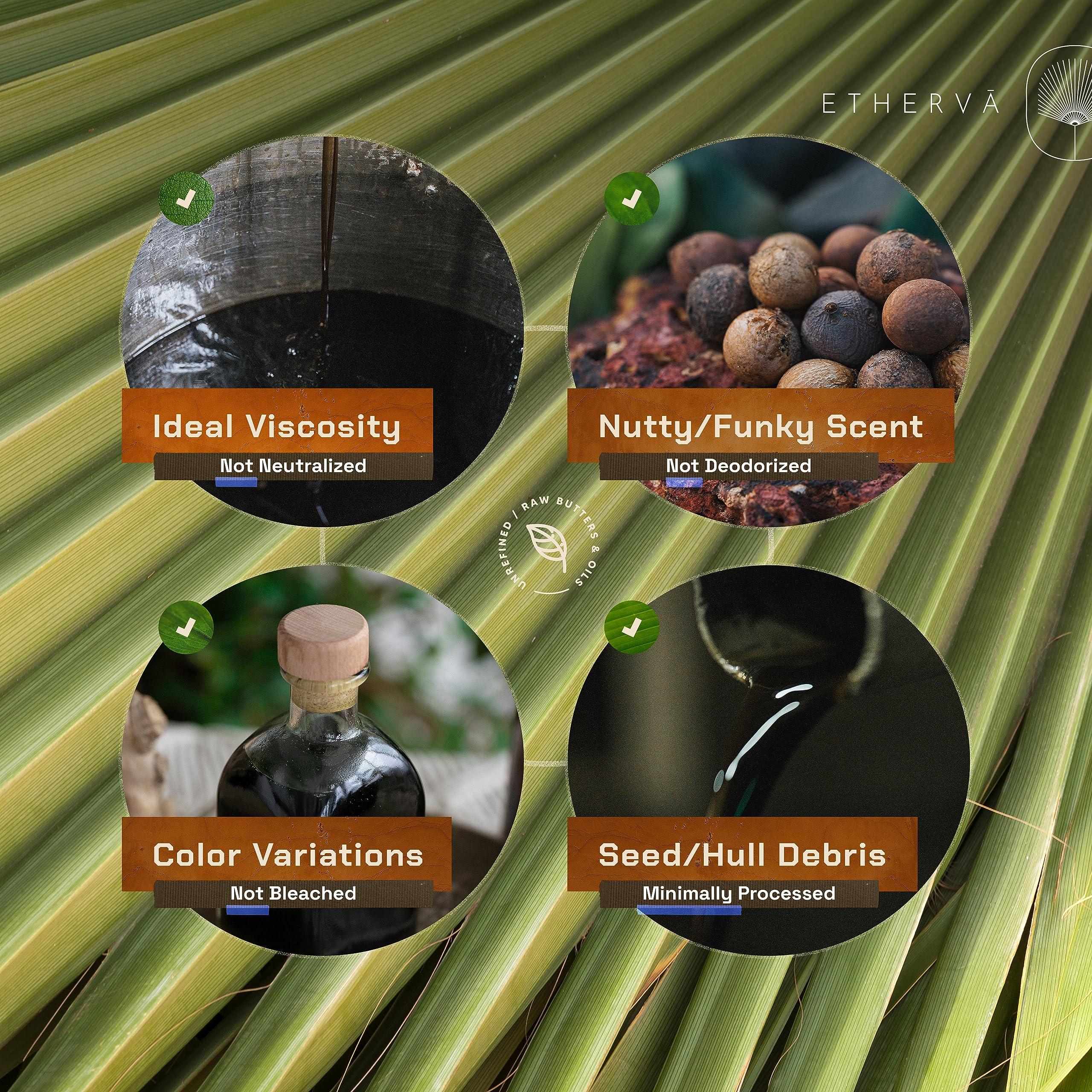 ETHERVA ETHERVA Cold Pressed Tamanu Oil | Bulk DIY Pack | Unrefined, Raw, Wild Grown Organic Tamanu Seeds | Vegan | Carrier Oil For Skin, Body, Scalp, Hair | For Whipped Creams | Glass Bottle 17.5 Fl Oz