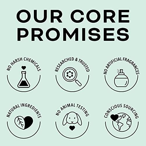 Beauty Foundry Beauty Foundry Clarifying Tea Tree Facial Oil, Targets Acne and Uneven Skin Tone, Antioxidant-Rich Beauty Oil, 1-fl oz/30ml (1 Pack)