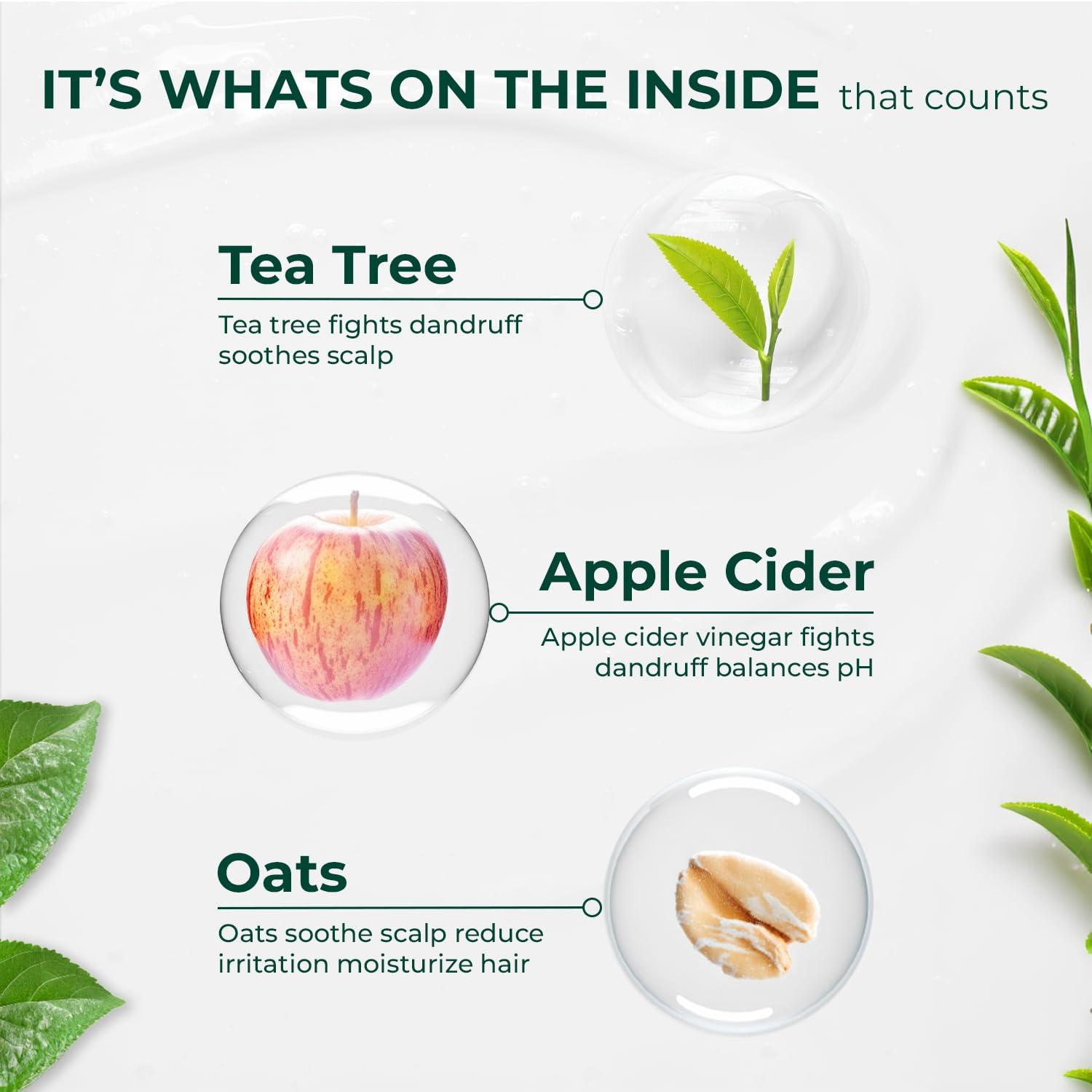 The Organic Forest  VEGAN . PURE . NATURAL Organic Anti Dandruff Shampoo and Conditioner Set | Infused with Apple Cider Vinegar, Tea Tree Oil & Shea Butter | Sulfate-Free, Hydrating, Frizz Control | Curly Hair, Men & Women, Natural Ingredients