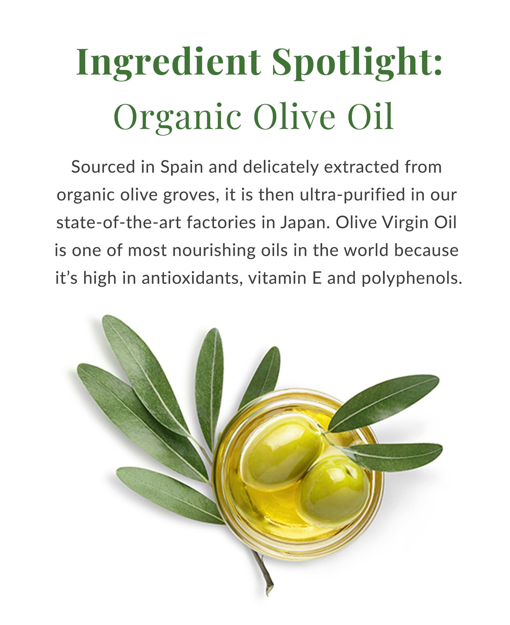 DHC DHC Olive Essentials Set, including Olive Concentrated Cleansing Oil, 5 fl. oz. and Olive Virgin Oil Essential Cream, 1.7 oz. Net wt.