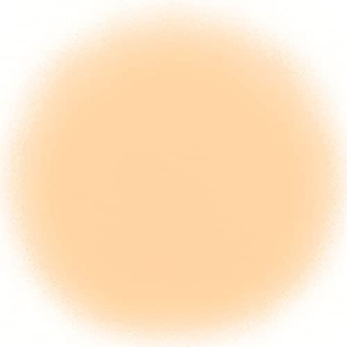 TEMPTU TEMPTU Air Perfect Canvas Airbrush Starter Kit, 3N Buff