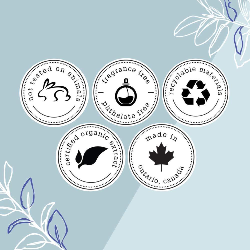 The Bathologist The Bathologist Sleep Fizzy Bath Soak, Made with Magnesium Sulfate, Dead Sea Salt & Aloe Botanicals, Lavender & Fresh Mint for Restful Sleep and Stress Relief, Approximately 5 Baths, 32 oz