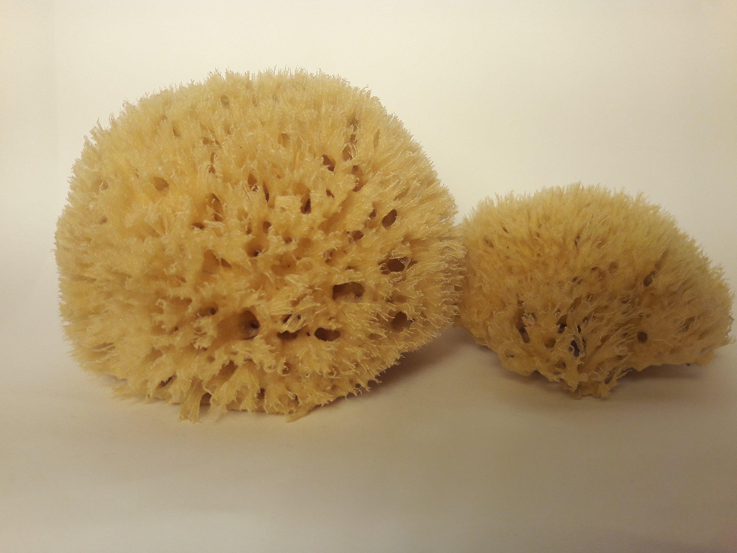 Croll & Denecke Croll & amp; Denecke Naturschwamm P130 Premium