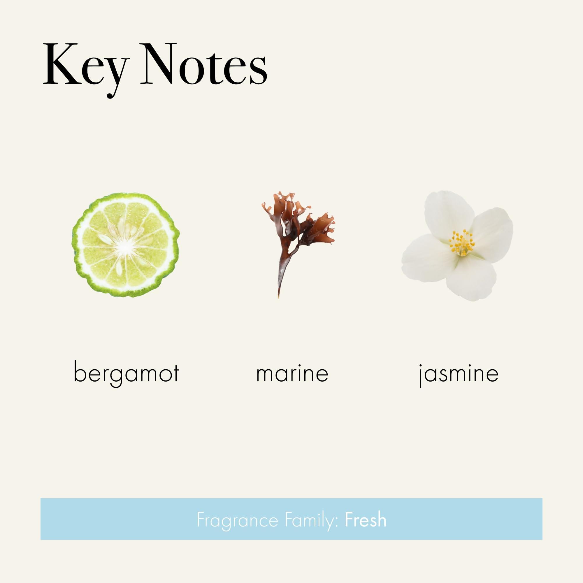 LAFCO New York LAFCO New York Hand Cream, Marine - 12 oz - Restores & Repairs Skin - All Skin Types - Hypoallergenic, Synthetic Free & Cruelty Free - Made in Italy