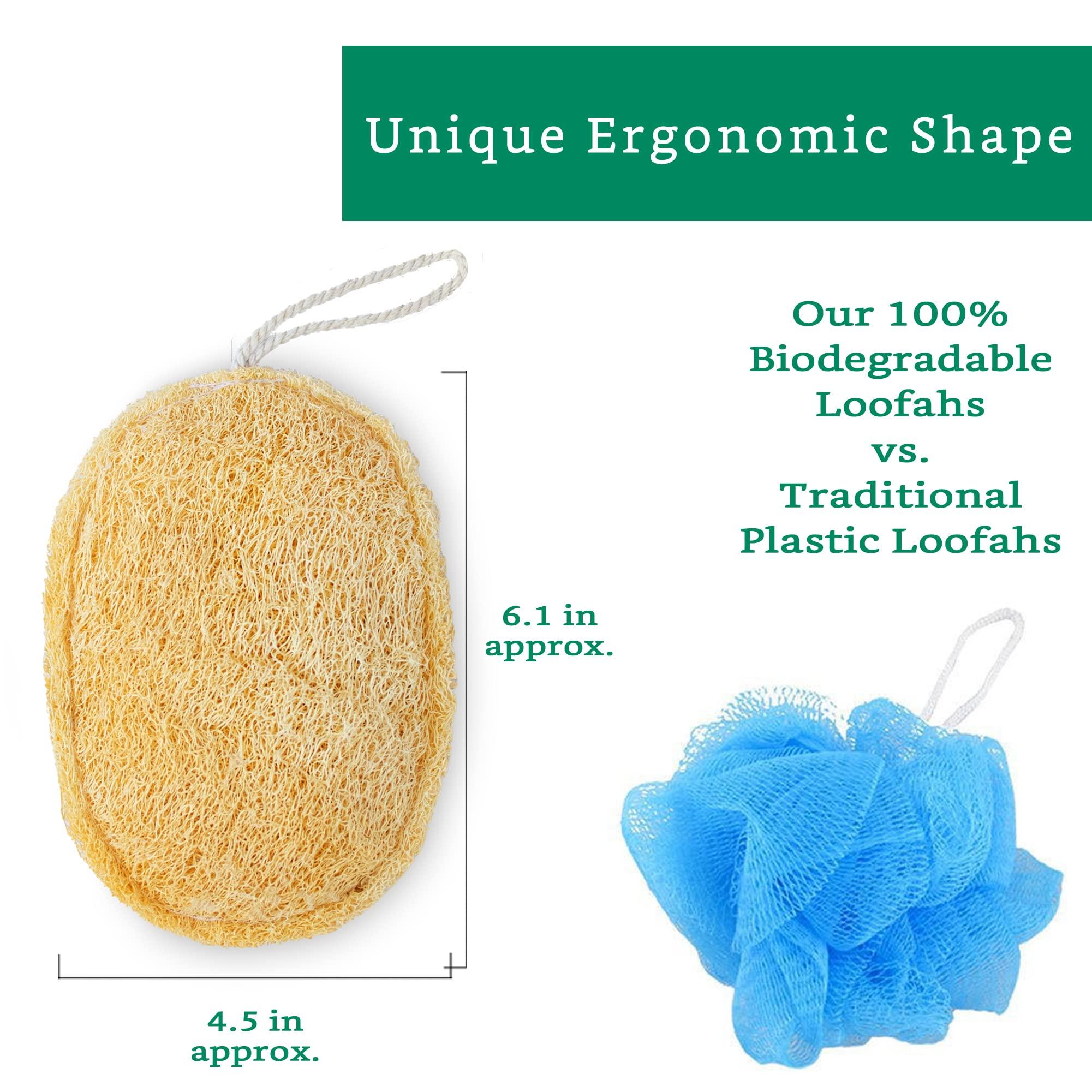 LooLife Natural Loofah Exfoliating Sponge (4 Pack) - Loofa Exfoliating Body Scrubber - Biodegradable Organic Loofah Sponge - Shower Luffa Sponges - Shower Lufa - Estropajos para el Cuerpo