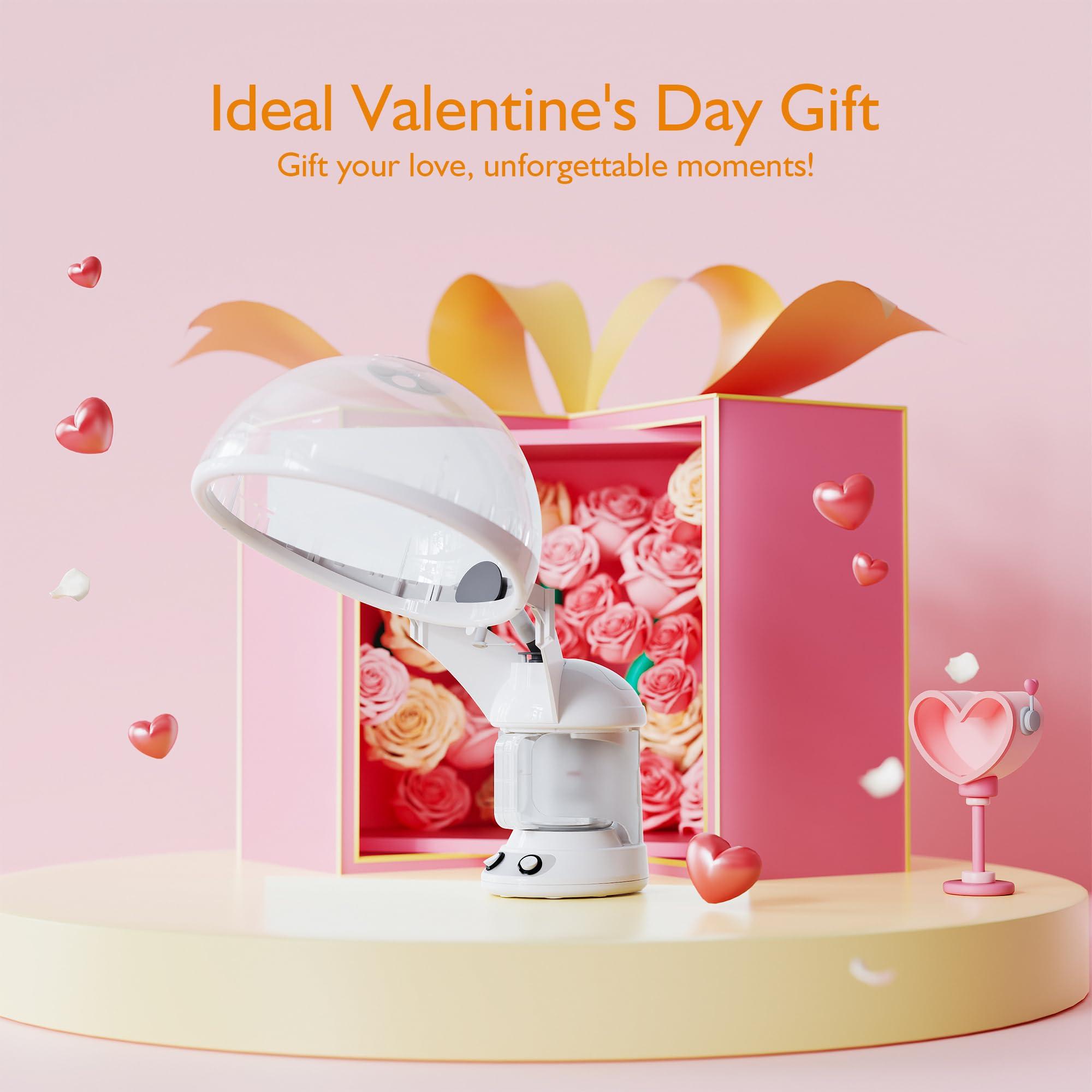 EZBASICS EZBASICS Hair Steamer 2 in 1 Ion Facial Steamer with Extendable Arm Table Top Hair Humidifier Hot Mist Moisturizing Facial Atomizer Spa Face Steamer Design for Personal Care Use at Home 1 Pack + 2Uses