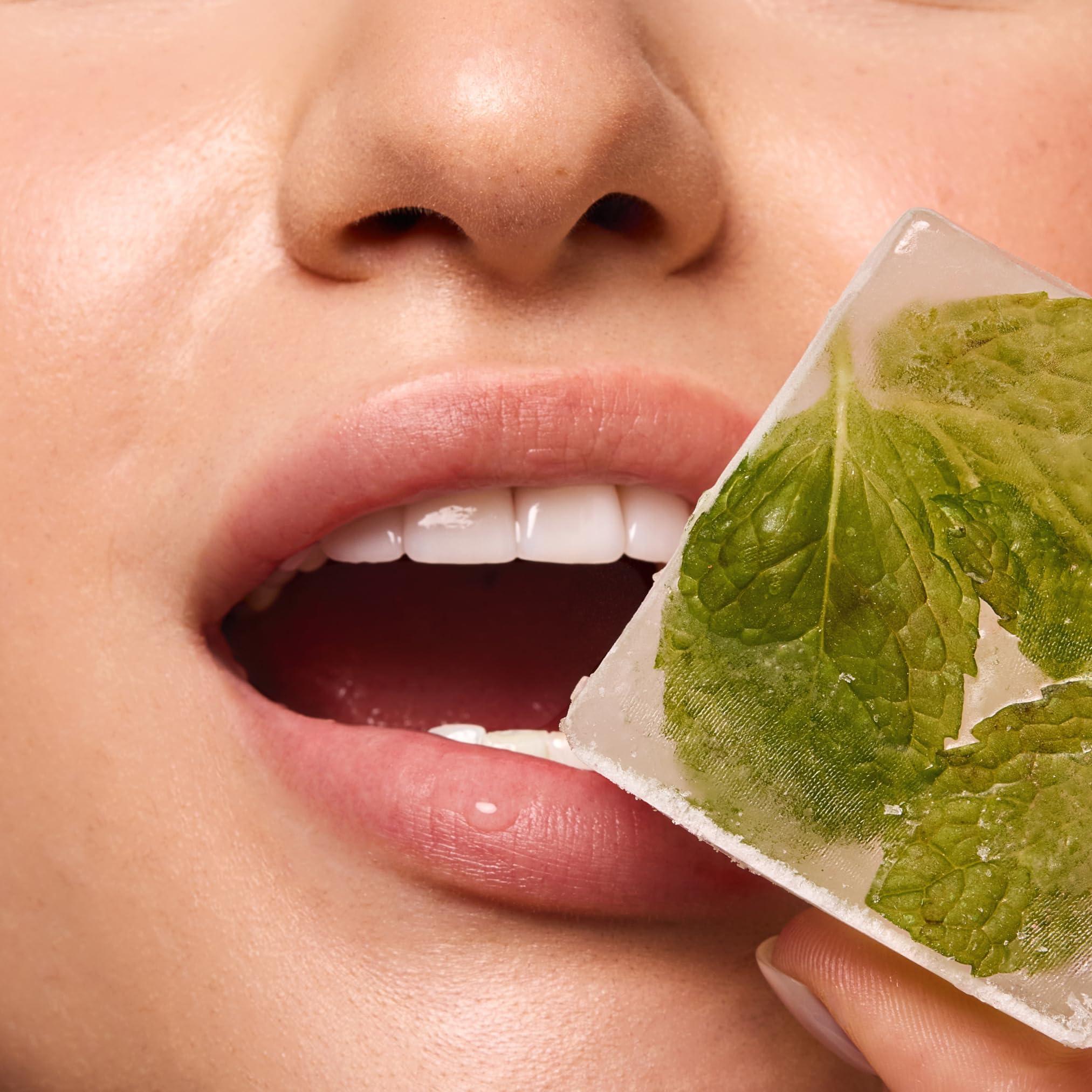 Space Camp Space Camp Wellness Jumbo Lip Balm - Frosted Mint Organic Flavored Balm (2 Pack)