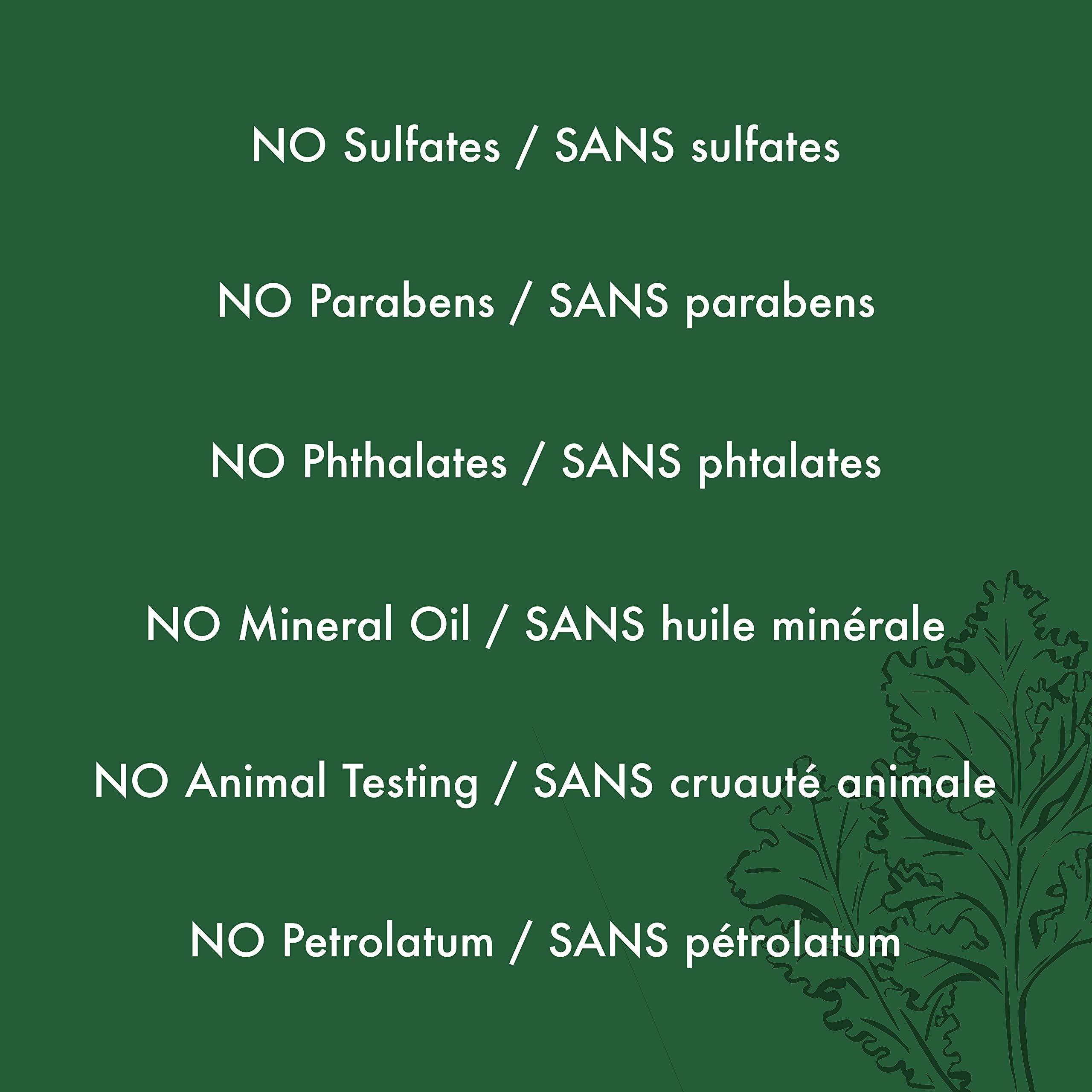 SheaMoisture SheaMoisture Moringa & Avocado Power Greens Reconstructor