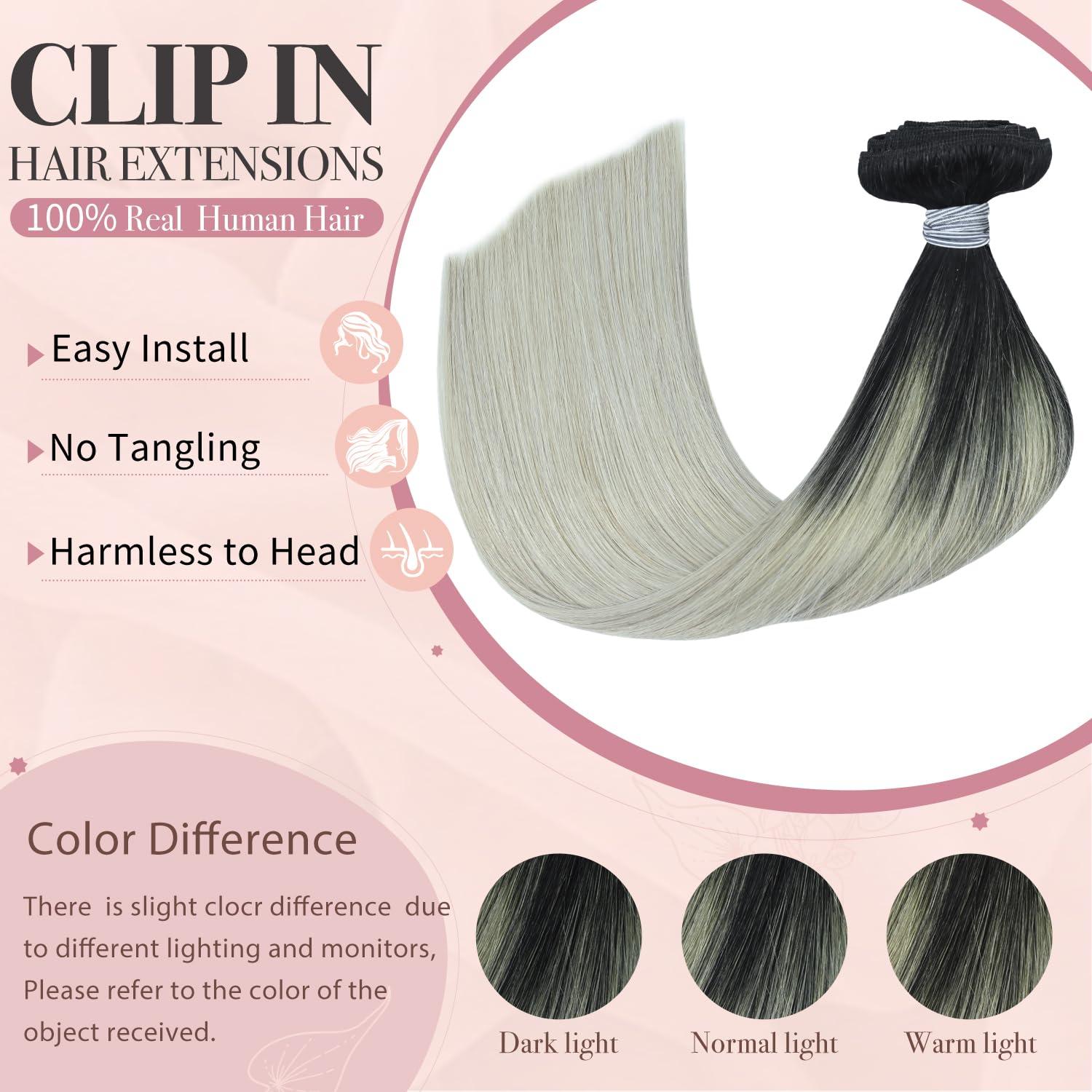 HUAYI HUAYI Black and Silver Ombre Clip in Hair Extensions Real Human Hair 120g Black to Grey Remy Human Hair Clip in Extensions 14 Inch Soft Silky Straight 7pcs 16clips One Pack (Black/Silky/Gray)