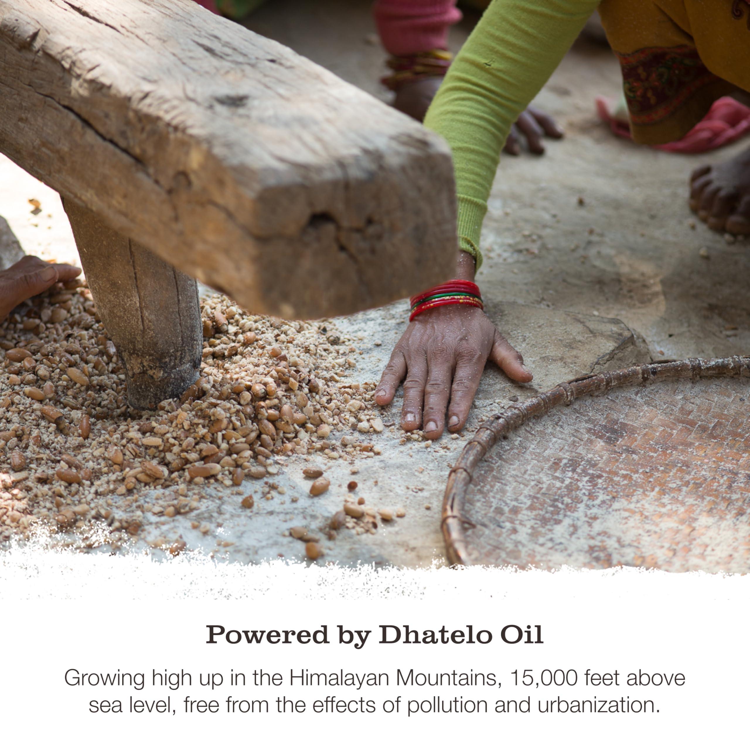 Tweak-d by Nature Tweakd by Nature - Restore Cleansing Hair Treatment, Hair Mask for Damaged Hair, 5-in-1, Strengthens and Nourishes Dry Hair for Silky and Soft Feel, Cruelty Free (16 ounces)