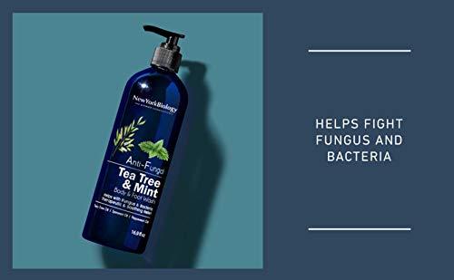 NEW YORK BIOLOGY THE ULTIMATE COSMECEUTICALS New York Biology Tea Tree Body Wash with Tea Tree Mint Body Wash for Men and Women - Helps Jock Itch & Itchy Skin, Nail Fungus, Athletes Foot, Eczema & Body Odor, Ringworms – 16 Fl Oz