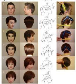 CombPal CombPal Scissor Clipper Over Comb - Barber Home Haircutting Guide Set (Classic Set, Gray)