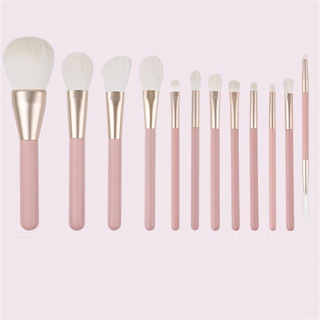 CGTENBS Smokey Peach 12pcs Makeup Set Brushes Blush Brushes Eyeshadow Brushes Portable Full Set Of Makeup Brushes