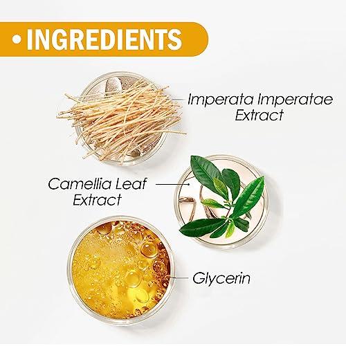 CORDYGLOW Sunscreen Setting Powder SPF 50 Loose Powder with Brush Natural Mineral Makeup Setting Powder Translucent 0.28 oz for All Skin-3PC