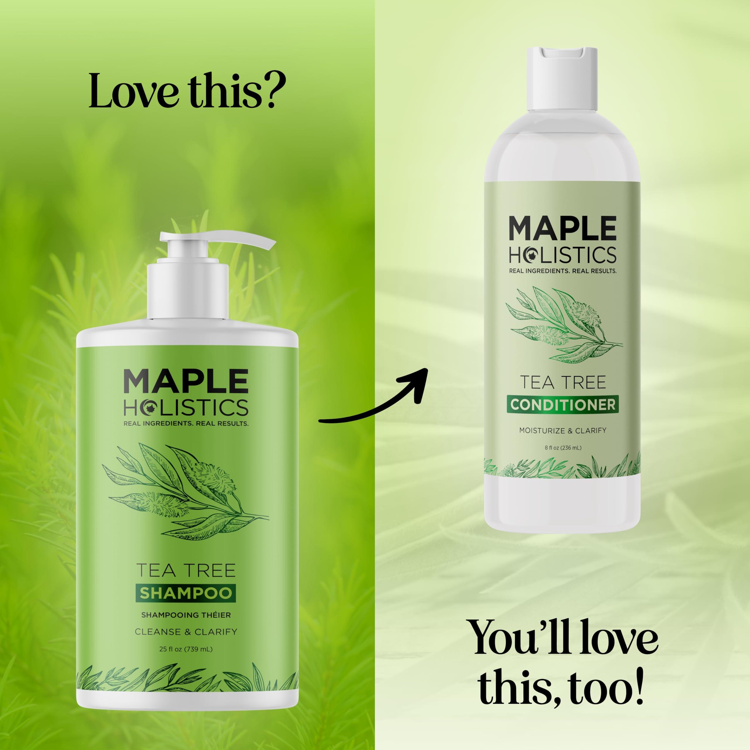 Maple Holistics Maple Holistics Tea Tree Oil Shampoo Sulfate Free - Deep Cleansing Vegan Tea Tree Shampoo for Oily Hair and Scalp - Daily for Build up with Rosemary Essential Oil for All Hair Types 25 Fl Oz