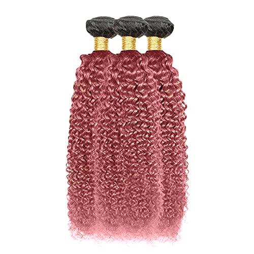 NiegMeag Pink Bundles Human Hair Pink Human Hair Wet And Wavy Human Hair Kinky Curly Bundles 26 28 30 Inch Double Weft 2 Tone Black And Pink Virgin Human Hair Curly Black And Pink Extension