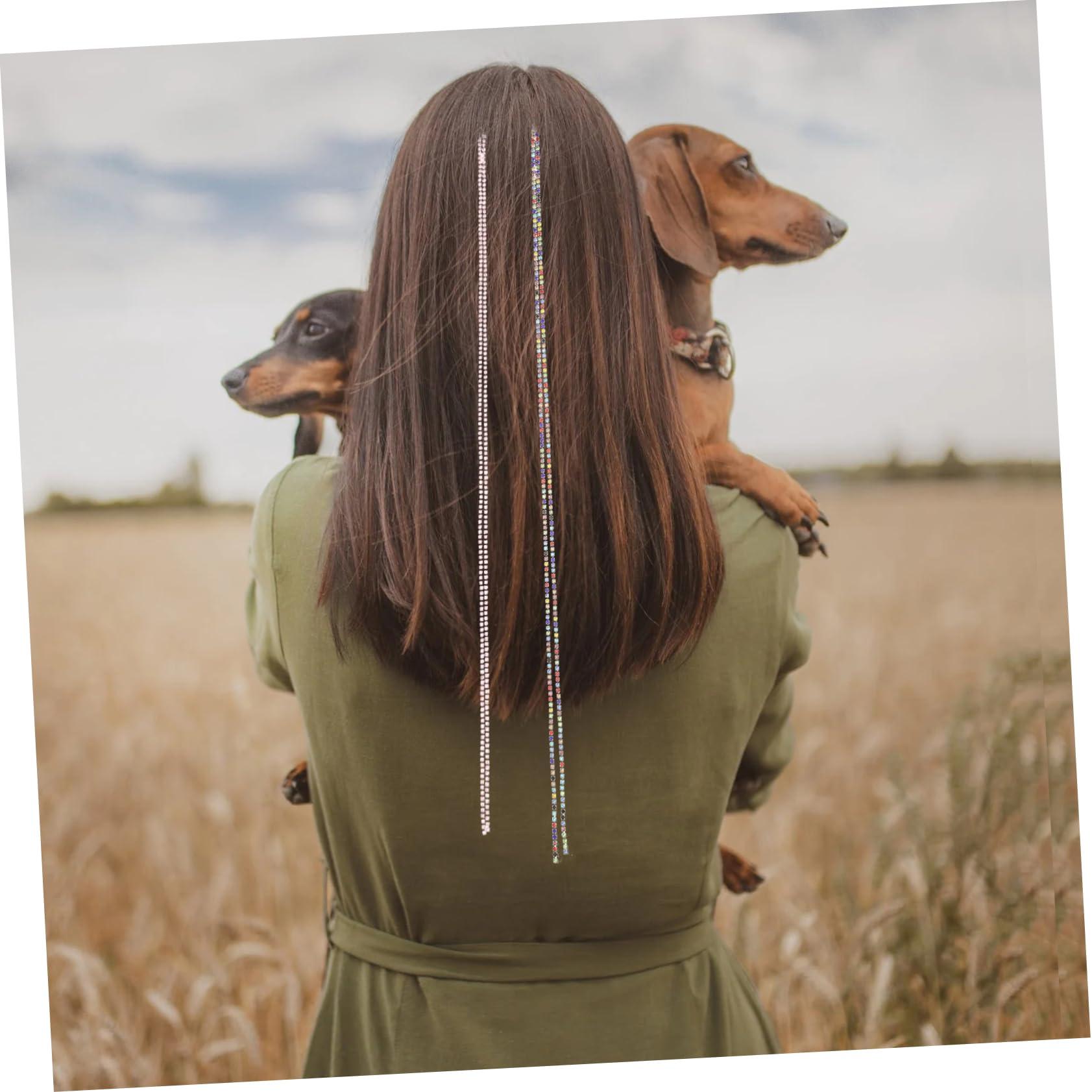 BELLIFFY BELLIFFY 2pcs Rhinestone Hair Chain Hair Jewelry Hair Accessory for Womens Hair Clips Hair Jewels for Women Braid Hair Accessories Rhinestone Barrettes for Women Braided Acrylic