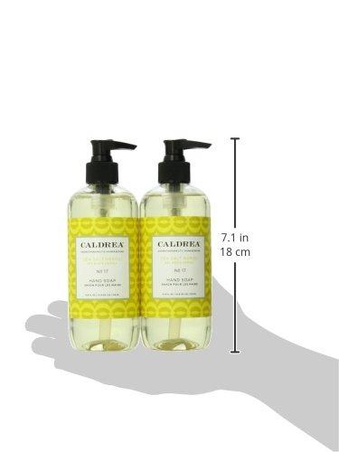 Caldrea Caldrea Hand Wash Soap, Aloe Vera Gel, Olive Oil and Essential Oils to Cleanse and Condition, Sea Salt Neroli Scent, 10.8 oz