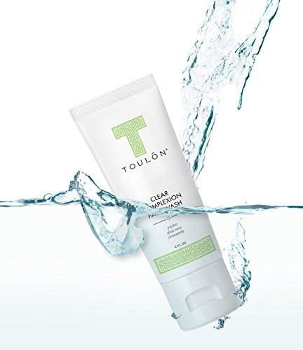 TOULON TOULON Aloe Vera Face Wash - Anti Aging Face Cleanser for Oily Skin & Clear Complexion. Antioxidant Facial Cleanser For Women and Men