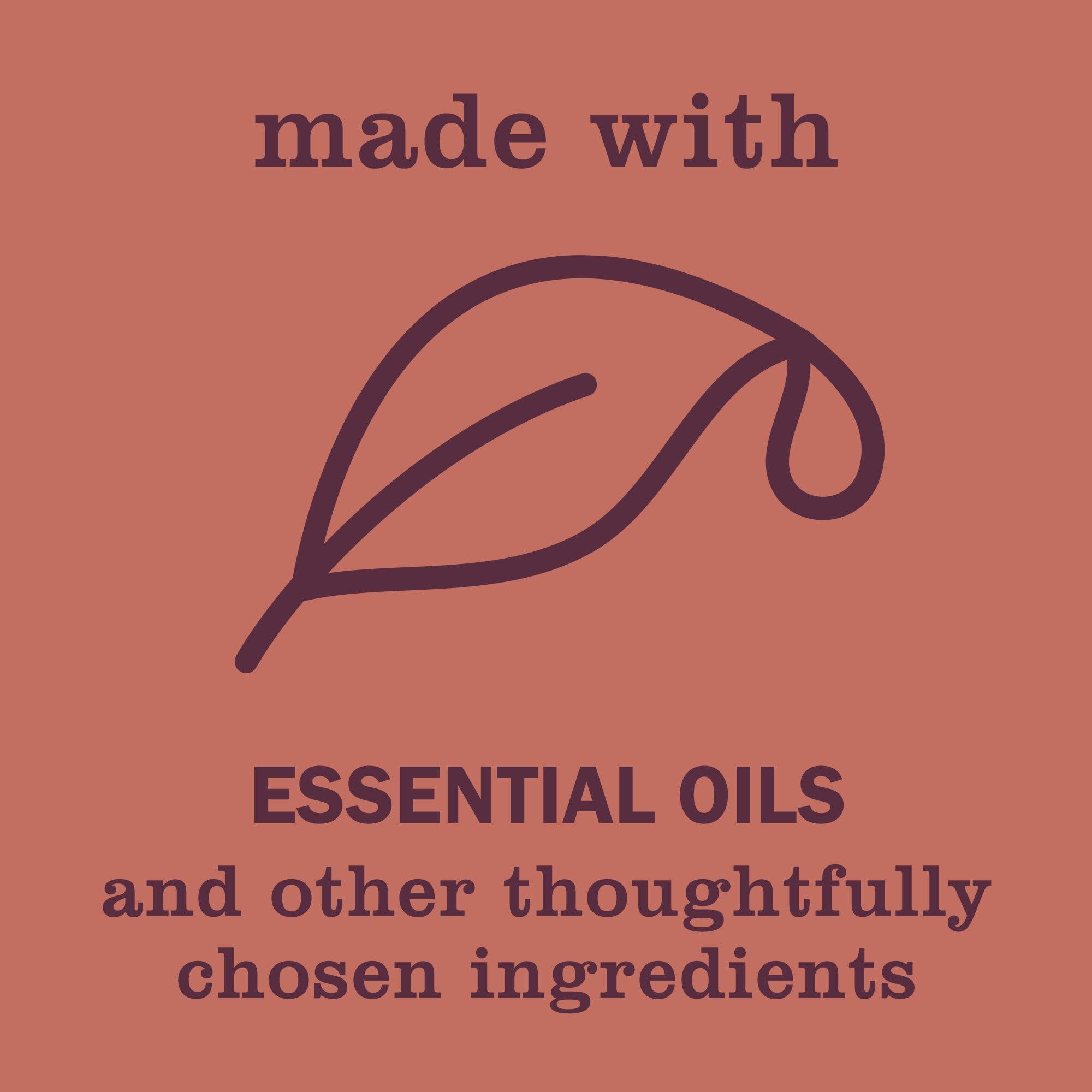 MRS. MEYER'S CLEAN DAY MRS. MEYER\'S CLEAN DAY Hand Soap Variation 12 Fl Oz (Pack of 3)