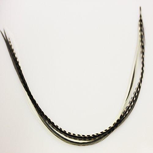Sexy Sparkles Zebrz Feather Hair Extension 4"-7" in Length with 5 Salon Quality Feathers for Hair Extension with Black & White American Rooster Feathers