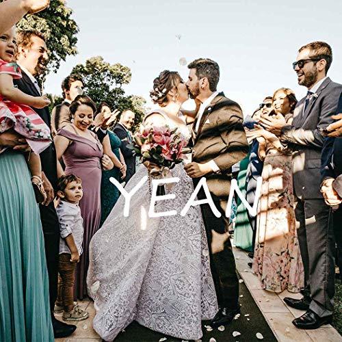 Yean Yean Babys Breath Hair Piece Wedding Hair Vine Silver Rhinestone Headband Bridal Branch Crystal Wreath Crown Bridal Flower Vine Accessories for Bride and Bridesmaid (Silver)