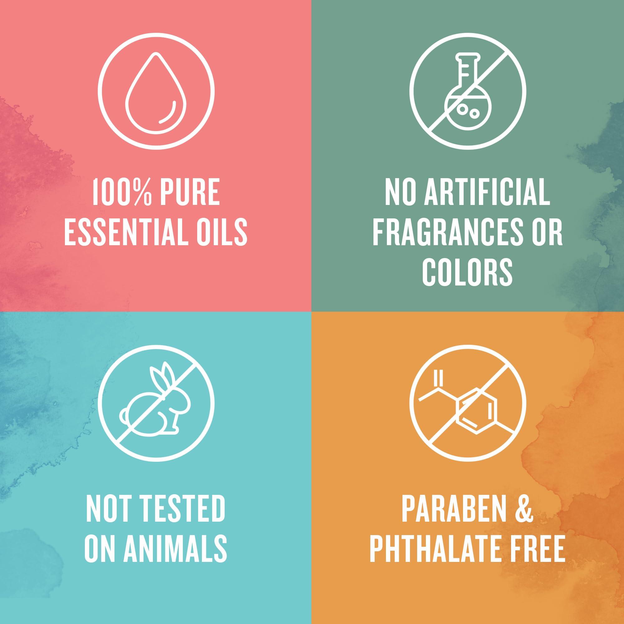 Aura Cacia Aura Cacia Organic Eucalyptus (Radiata) Essential Oil 0.25 fl. oz.