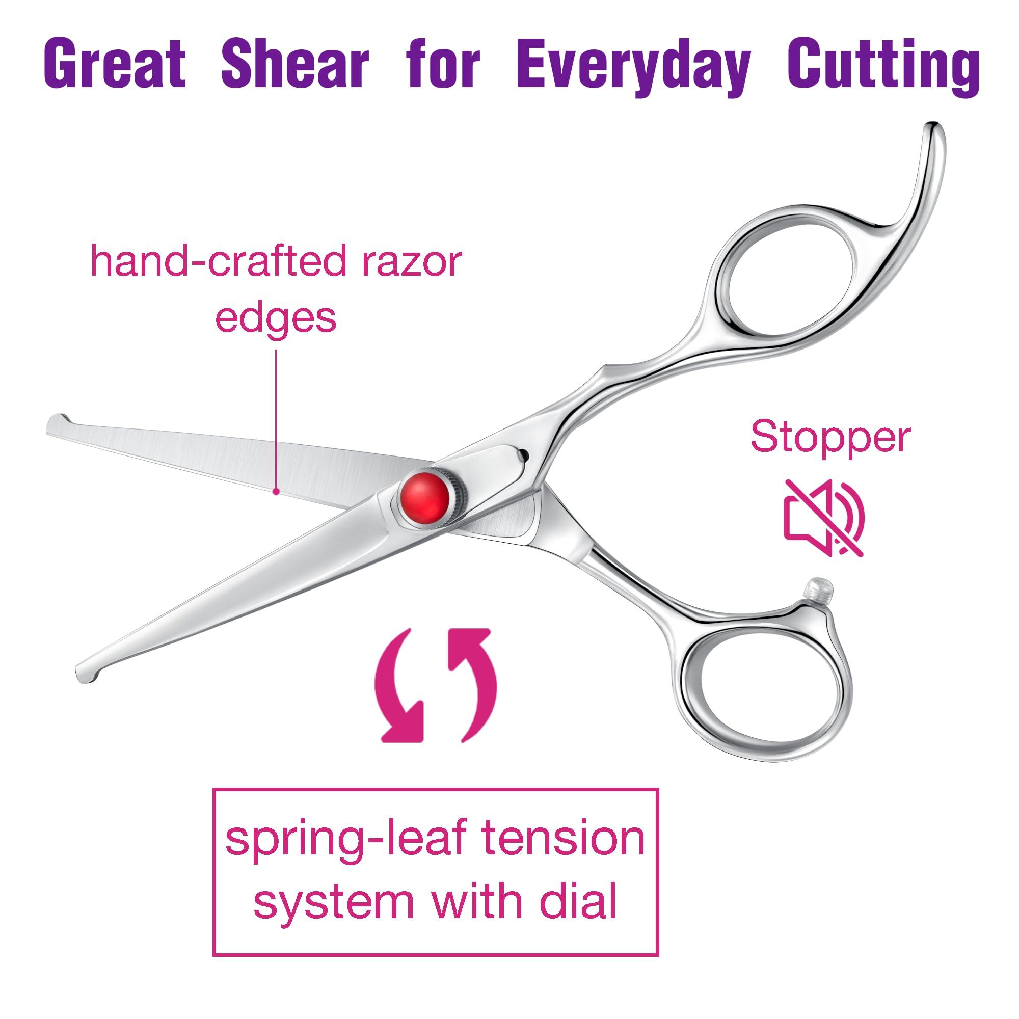 Dragon Creek 6\" Kids Hair Cutting Scissors Shears Safety Rounded Tips Kids Haircut Scissors for Children Baby Toddler Girls Boys Japanese Stainless Steel Silver Gift Dragon Creek