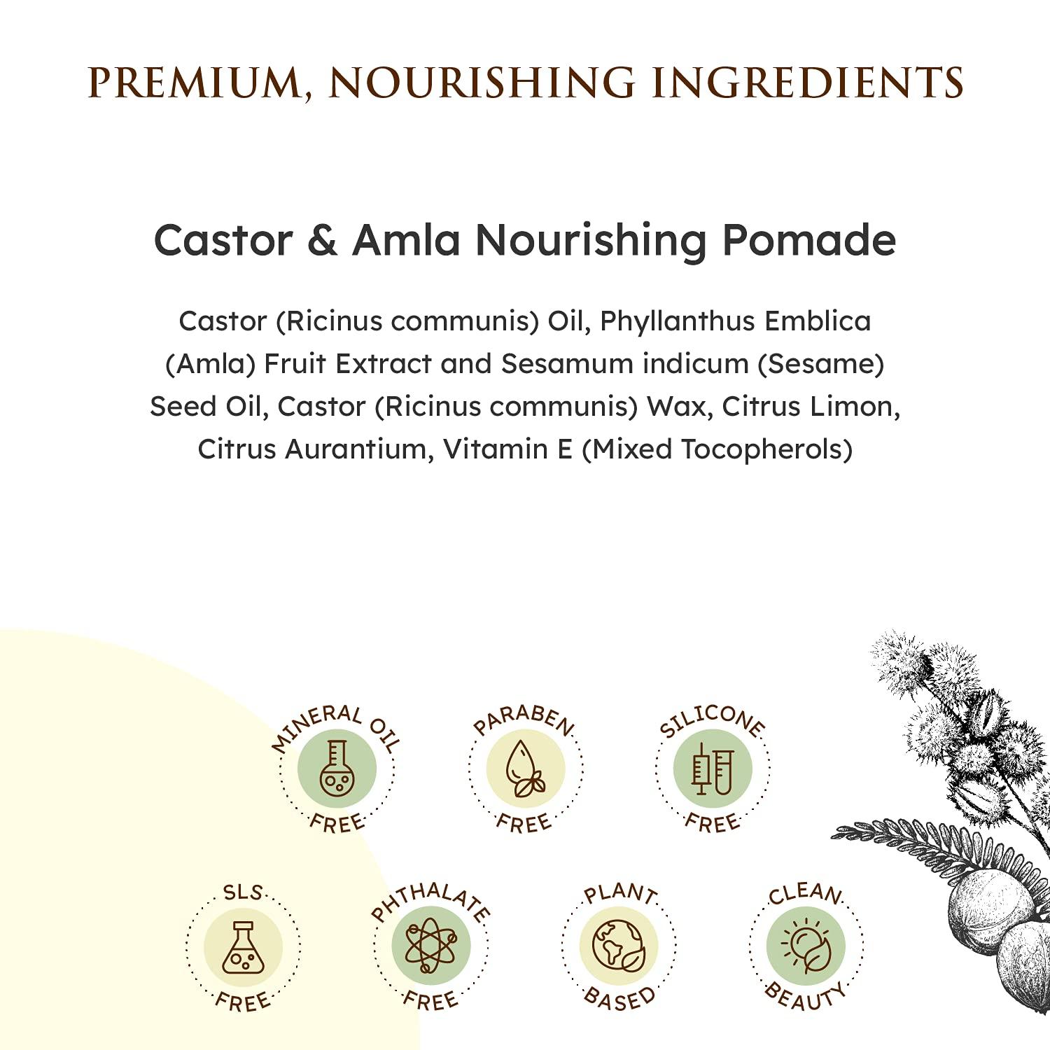 Qhemet Biologics Qhemet Biologics Castor & Amla Nourishing Pomade - Vegan Pomade and Scalp Conditioner with Castor Oil and Amla - Adds Softness, Pliability & Sheen to Locs, Cornrows, Twists & Loose Hair (4 oz)