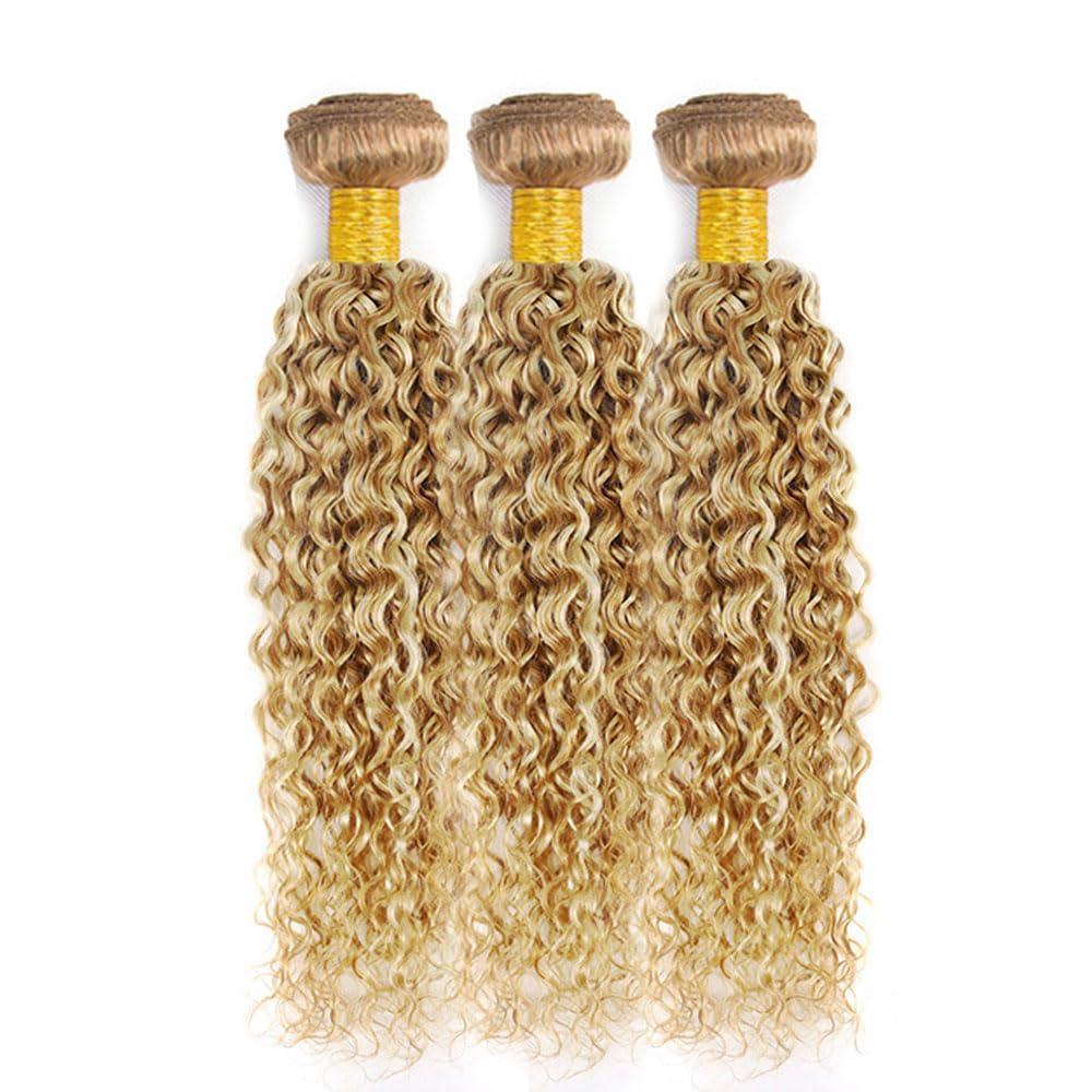 Fridnae 18 20 22 Inch P27/613 Bundles Ombre Kinky Curly Human Hair Bundles Highlight Blonde Bundles Human Hair Weave Two Tone #27 Honey Blonde Mixed Wuth #613 Blonde Bundles