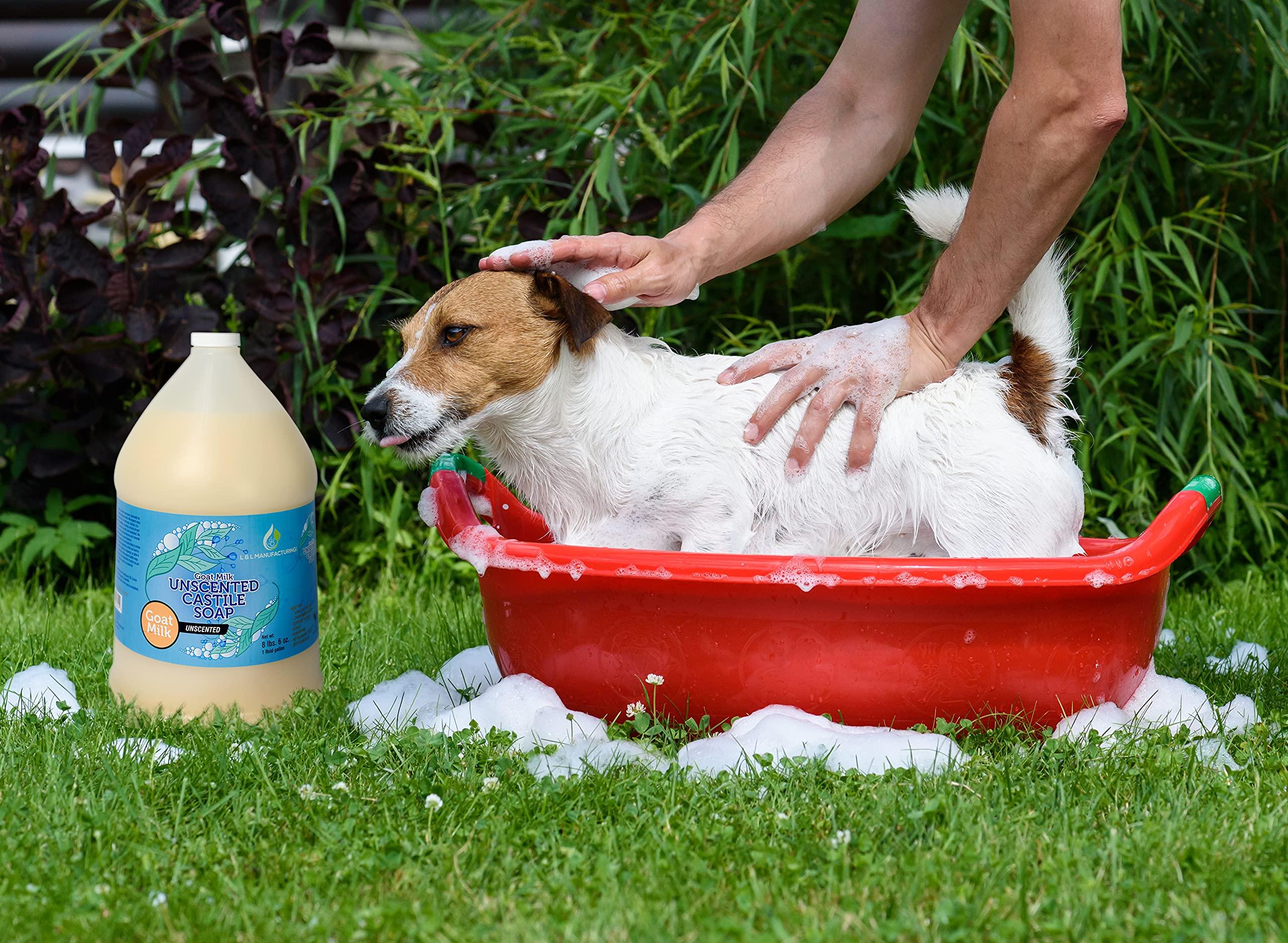 LandLSoap LandLSoap Goat Milk Unscented Pure Castile Soap Liquid for Face, Hand & Body Wash-Hand Made Soap, Vegan, Made in USA, Dry & Sensitive Skin (Half Gallon)