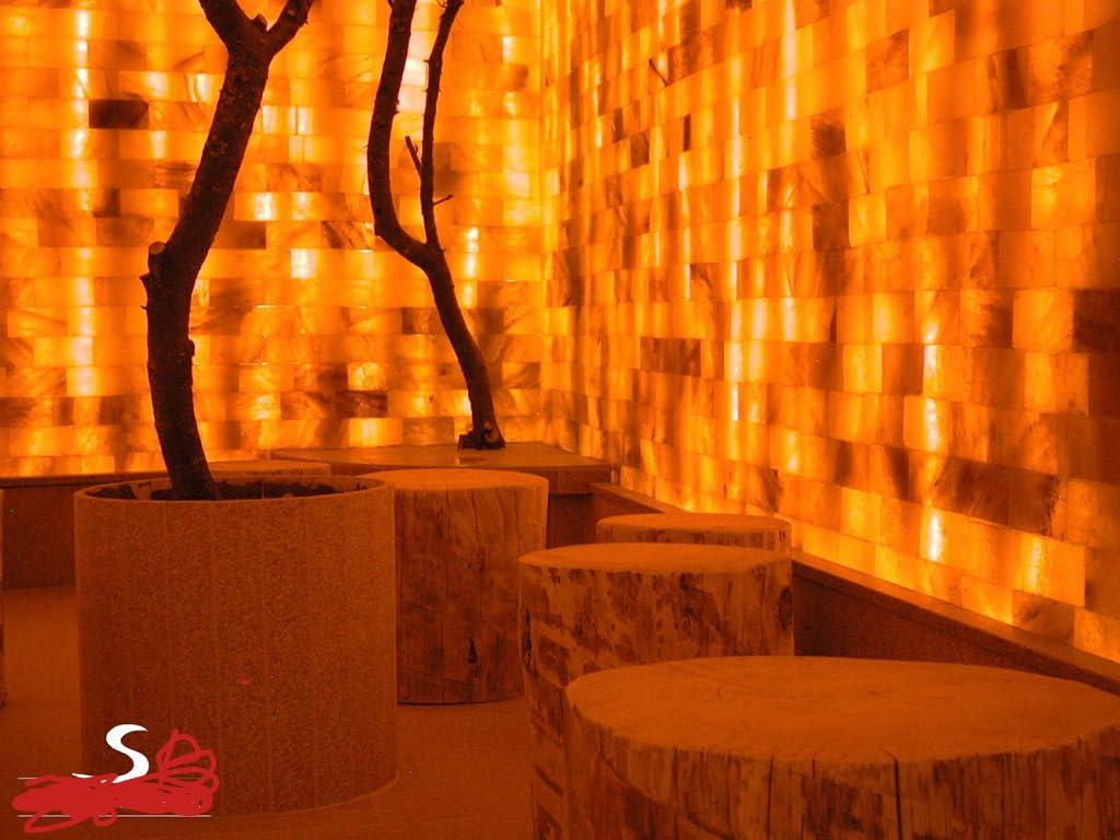 NinthAvenue Basics Halogenerator SALT1 for Halotherapy at Home or SPA