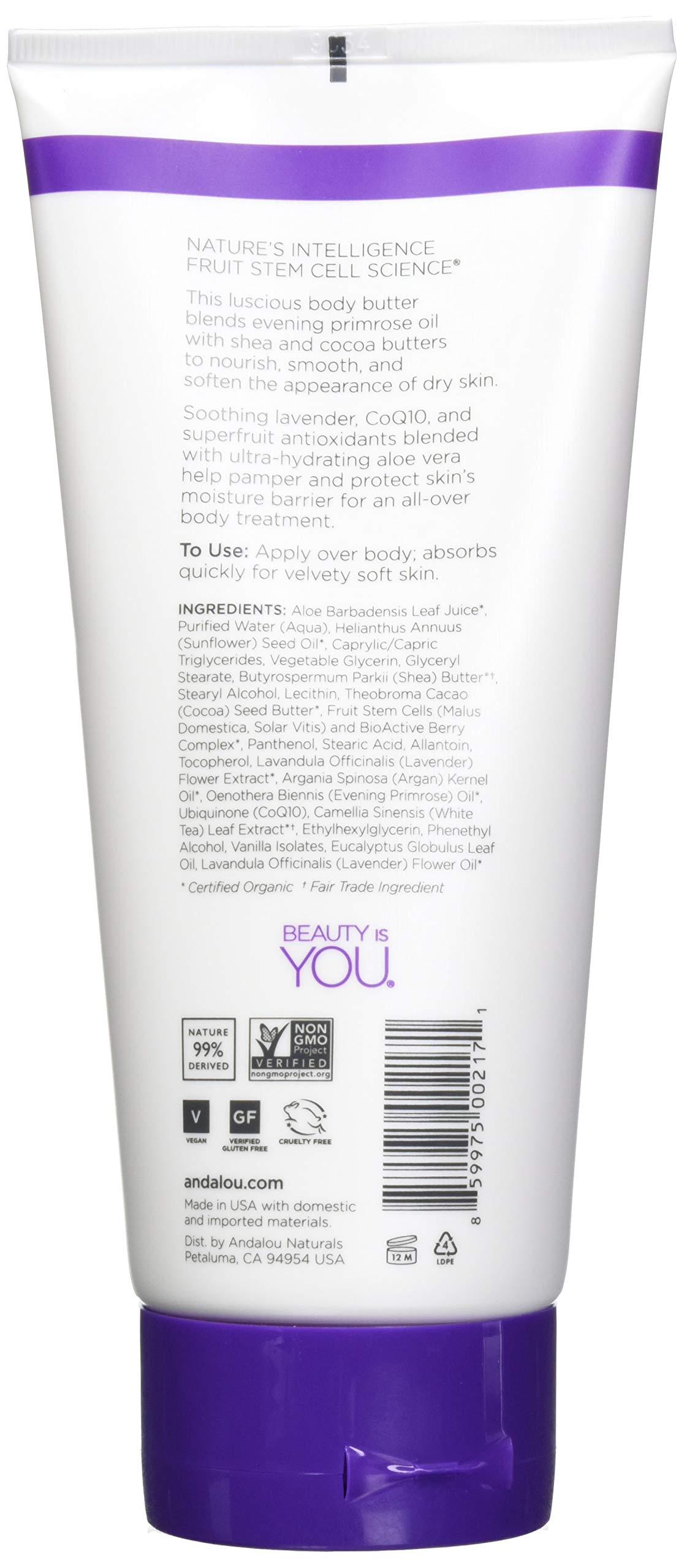 Andalou Naturals Andalou Naturals Firming Body Butter Lavender Shea - 8 fl oz Pack of 1