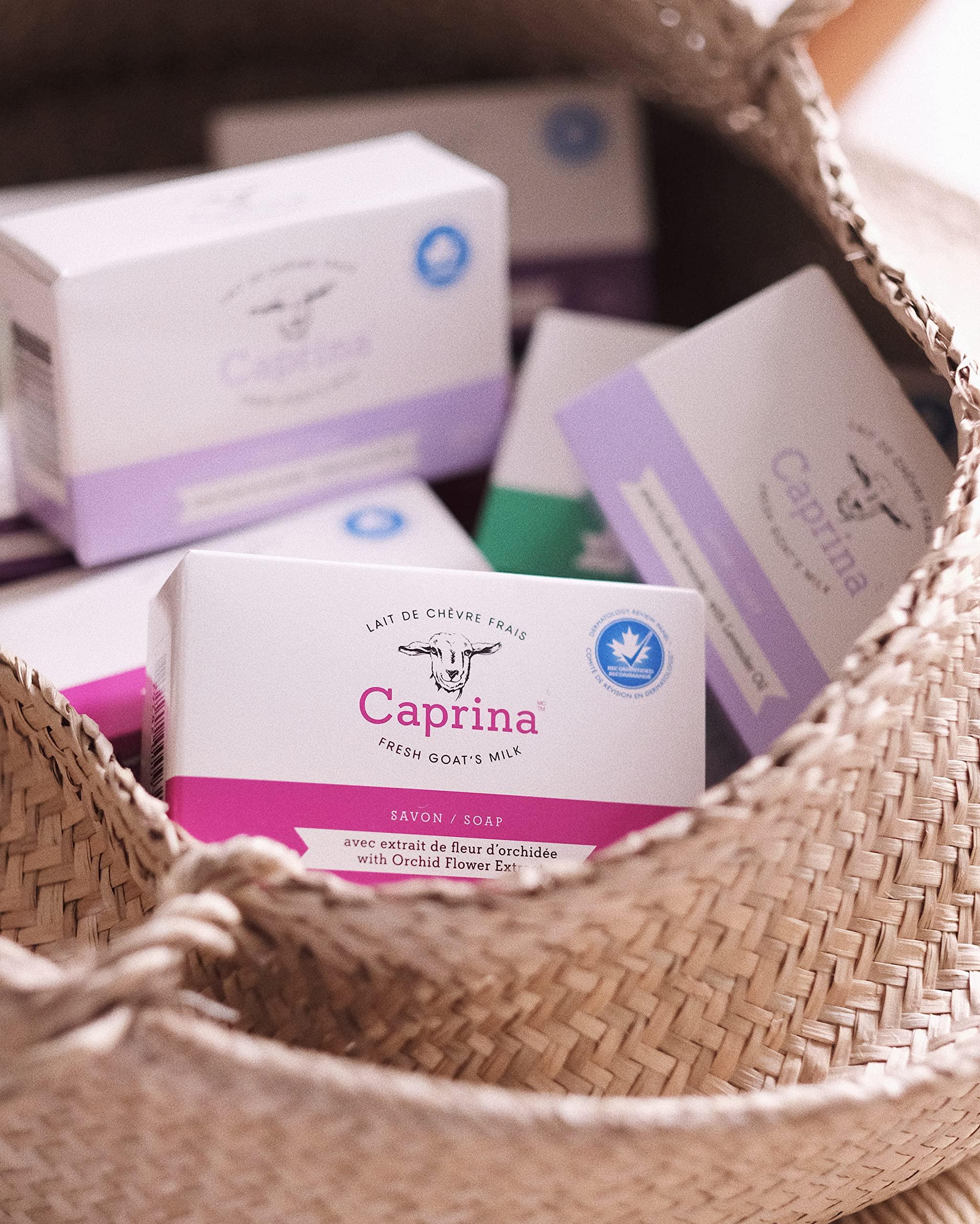 Caprina by Canus Caprina by Canus Bar Soap 3.2 Oz 6 Pack With Fresh Canadian Goat Milk Vitamin A B3 Potassium Zinc and Selenium 6, Shea Butter, 1 Count