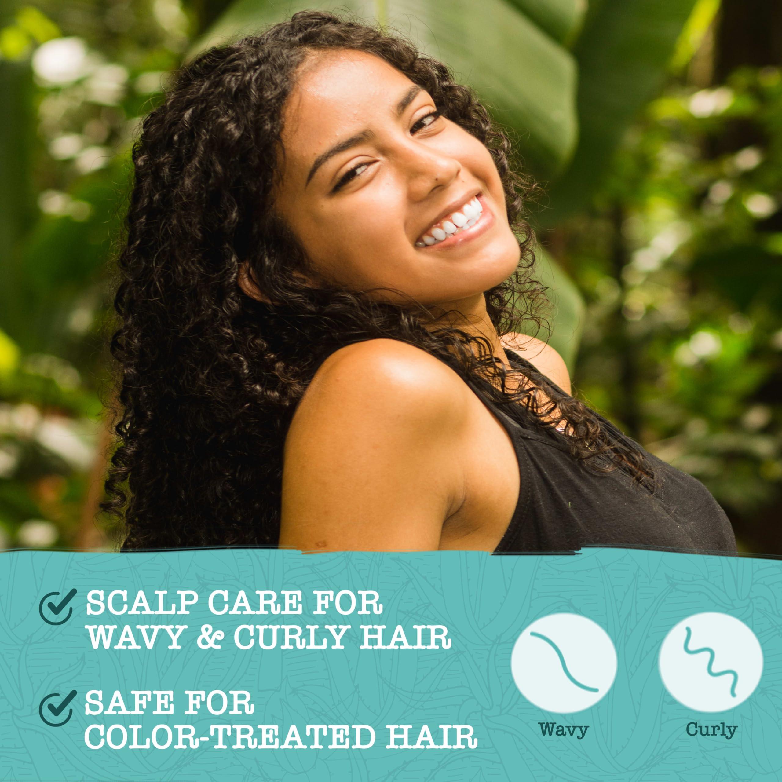 Maui Moisture Maui Moisture Scalp Care Clarifying Shampoo, Apple Cider Vinegar Curly Hair Shampoo Moisturizes & Removes Scalp Build-Up, Sulfate-Free Surfactants, 13 fl. oz