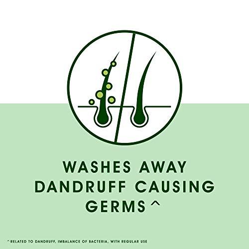 Head & Shoulders Head & Shoulders Neem, Anti Dandruff Shampoo, 340 ml