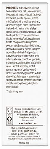 Burt's Bees Burt's Bees Brightening Dark Spot Corrector, 1 fl oz