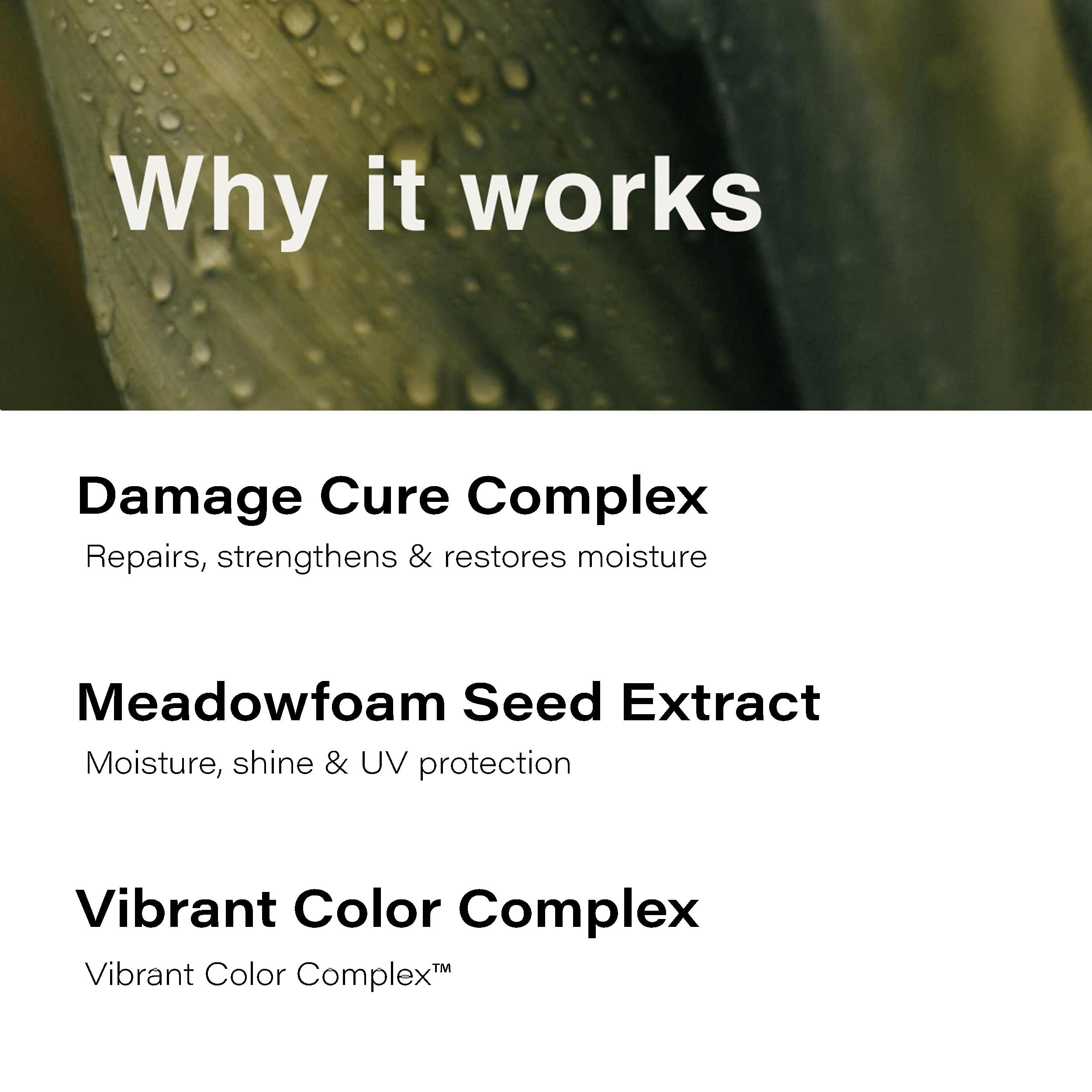 Eufora Eufora Beautifying Elixirs Leavein Repair Treatment 6.8 oz