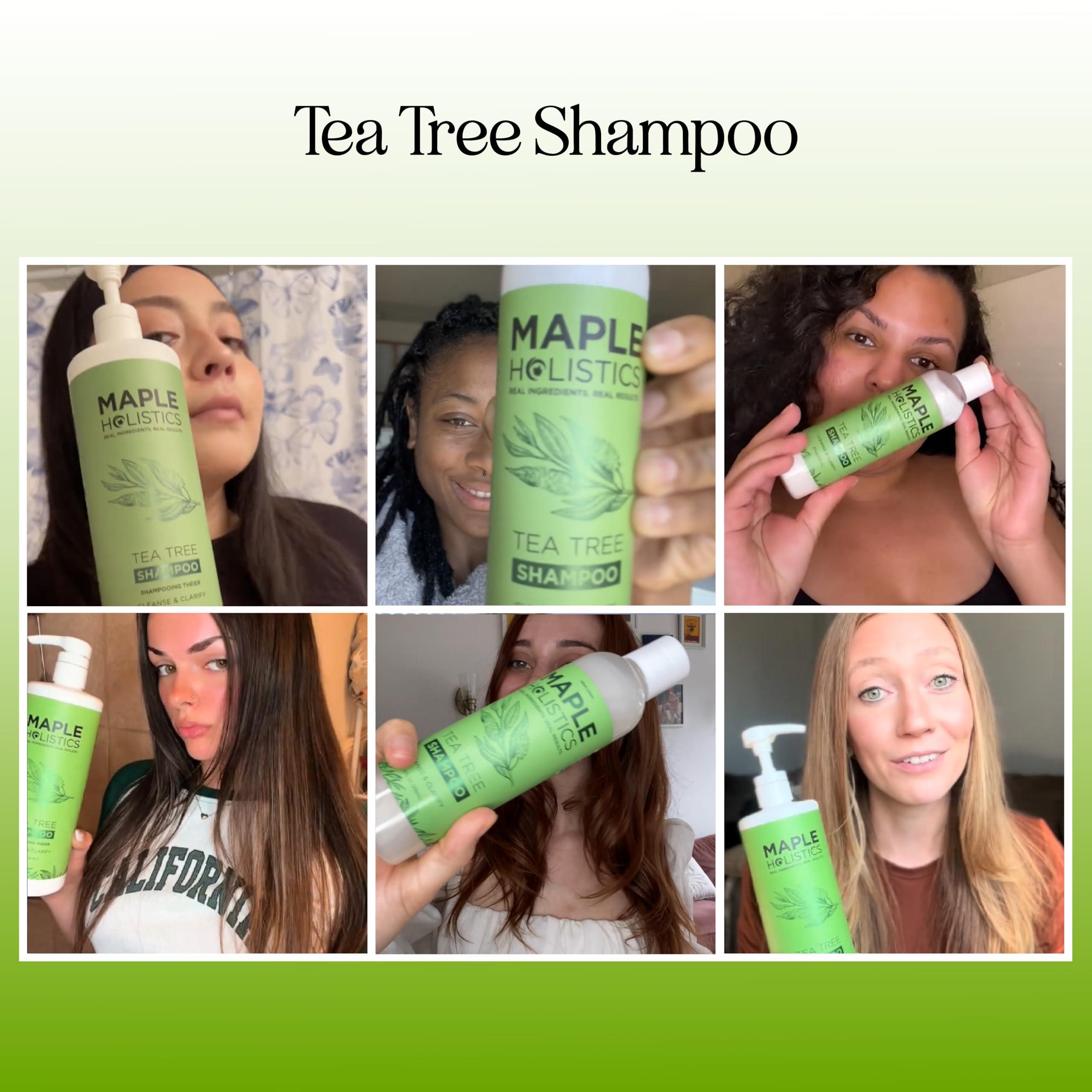 Maple Holistics Maple Holistics Tea Tree Oil Shampoo Sulfate Free - Deep Cleansing Vegan Tea Tree Shampoo for Oily Hair and Scalp - Daily for Build up with Rosemary Essential Oil for All Hair Types 25 Fl Oz