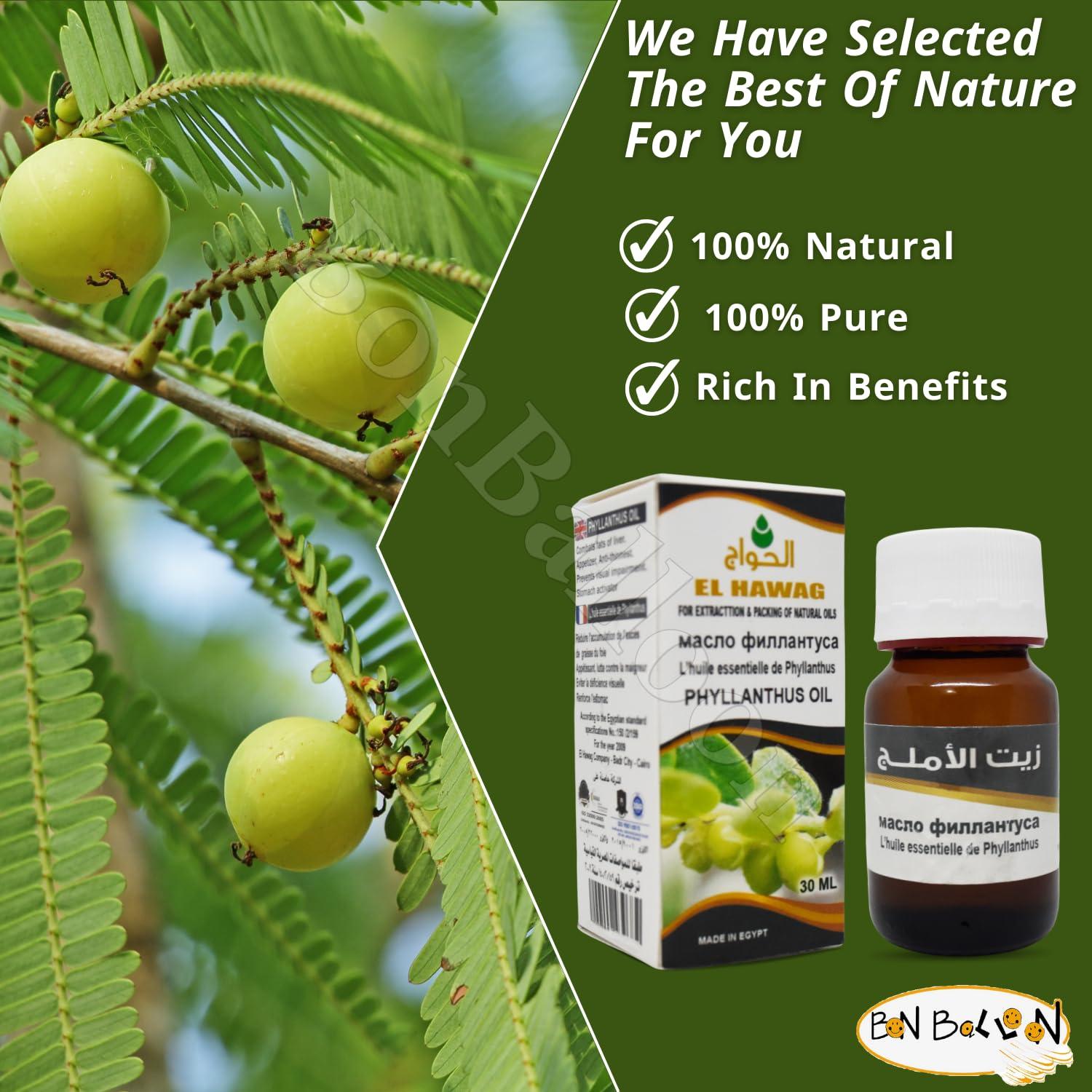 bonballoon Elhawag Alamlag Phyllanthus Oil Pure & Natural Cold Pressed Al Hawaj El Hawag Concentrated & Crude Perfect Fresh It Has Many Uses For Food Hair Skin Body (1 Pack = 1 oz / 30 ml)