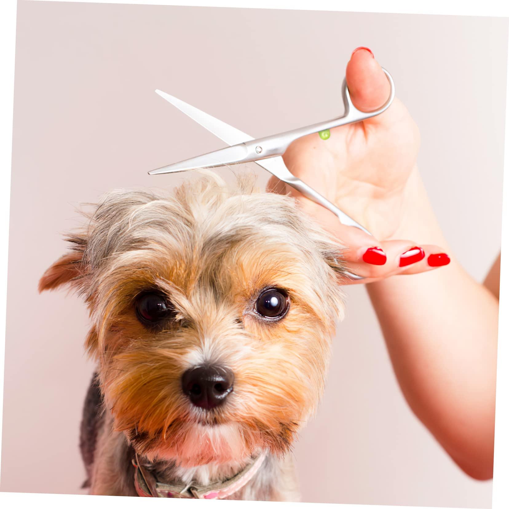 WOONEKY WOONEKY Muffler for Shears 20 Pcs Hair Scissors Bumpers Salon Equipment Barber Scissors Hair Shear Bumpers Hair Accesories Hair Shear Muffler Replacement Scissor Muffler Haircut Tool