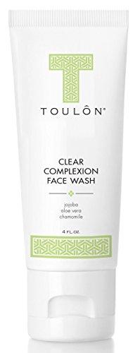 TOULON TOULON Aloe Vera Face Wash - Anti Aging Face Cleanser for Oily Skin & Clear Complexion. Antioxidant Facial Cleanser For Women and Men