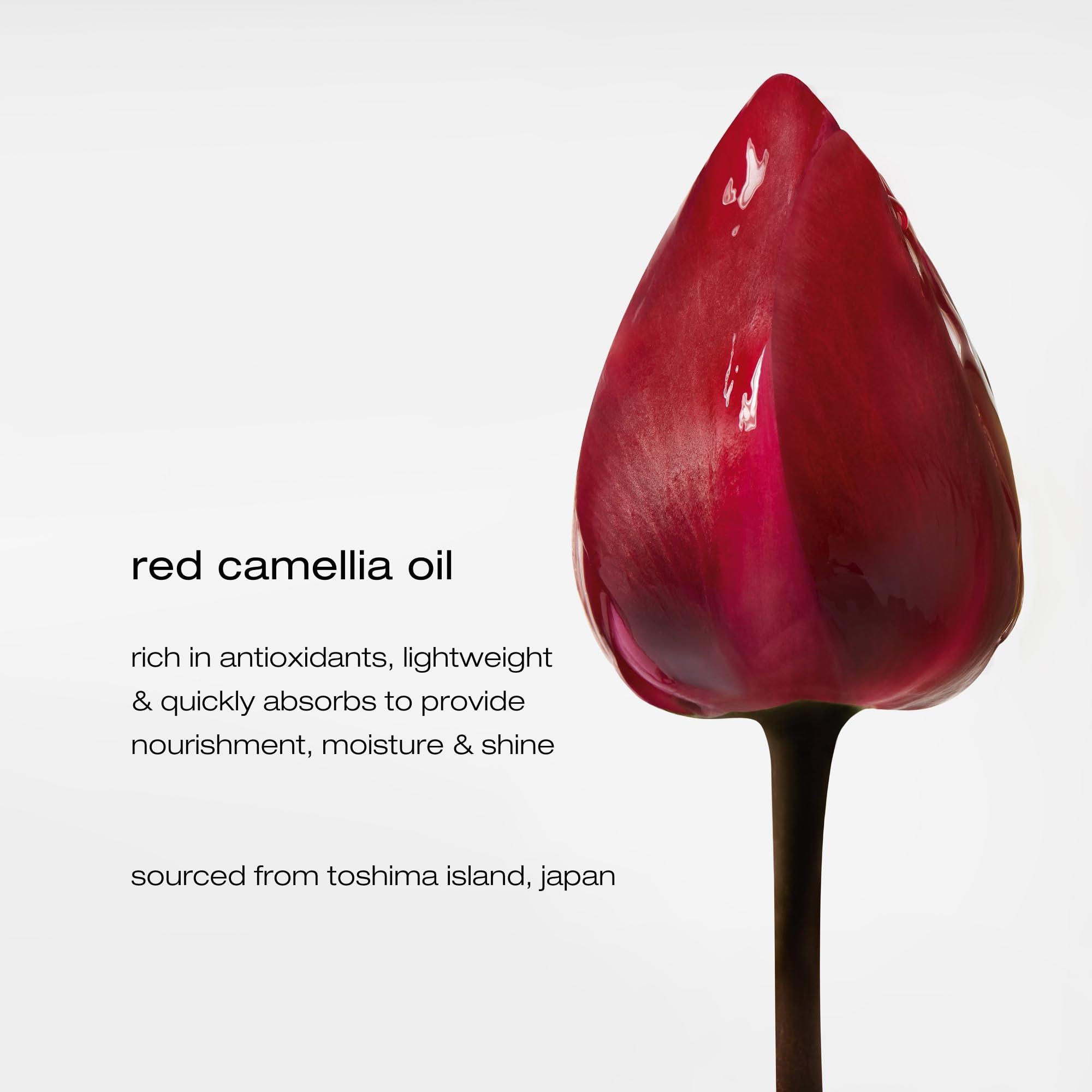 shu uemura art of hair Shu Uemura Essence Absolue Nourishing Overnight Hair Serum | Hydrates, Nourishes, and Detangles | Reduces Frizz and Enhances Shine | Lightweight Formula Absorbs Overnight