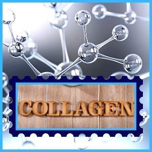 BioRLX BioRLX Collagen & Aloe Vera Lip Balm - Advanced Anti-Aging Lip Care for Youthful and Hydrated Lips (Collagen, 0.12 Ounce (Pack of 1))