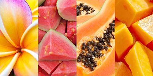 Hawaiian Tropic Hawaiian Tropic Silk Hydration After Sun