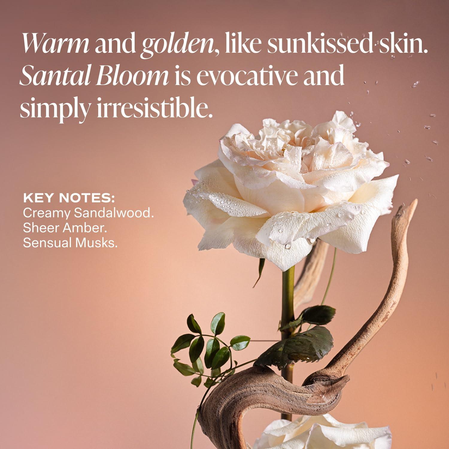 Saltair Saltair - Body Lotion (Santal Bloom) - 2 Pack