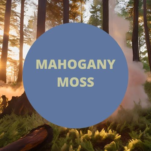 Black Canyon Home and Body Payden's Cobalt Mahogany Moss for Men Scented Epsom Salt Bath Soak with Jojoba Oil, 16 Oz