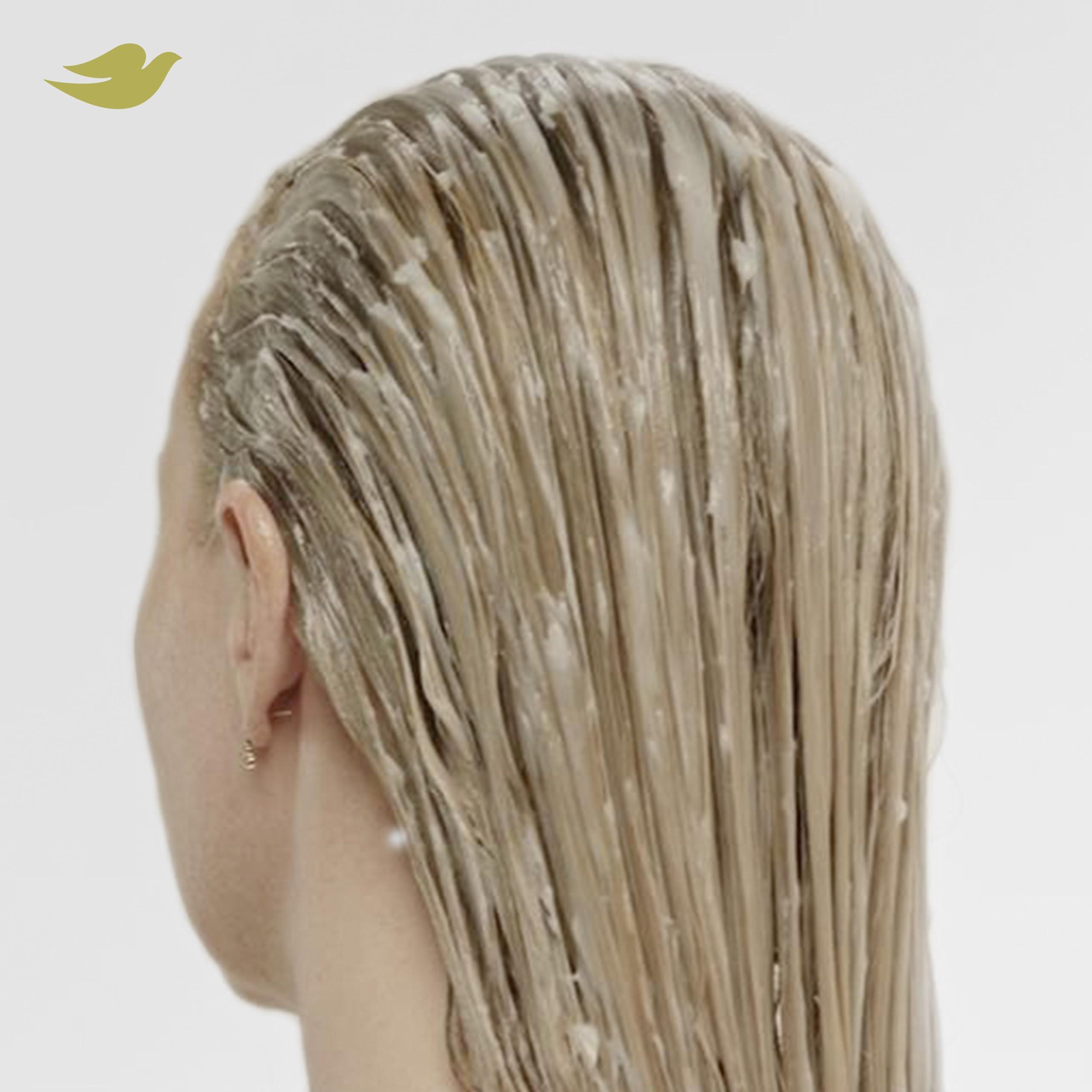 Dove Dove Bond Strength Shampoo & Conditioner Set Daily Strengthening Treatment for Dry, Damaged Hair, 12 Oz Ea